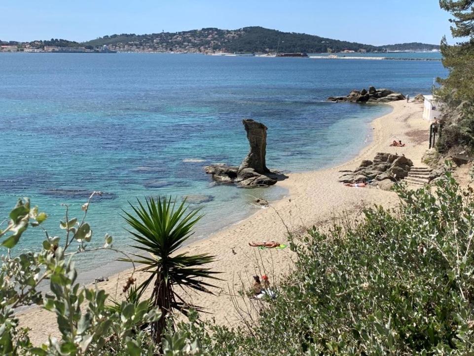 Superbe Appartement Proche Gare Toulon Luaran gambar